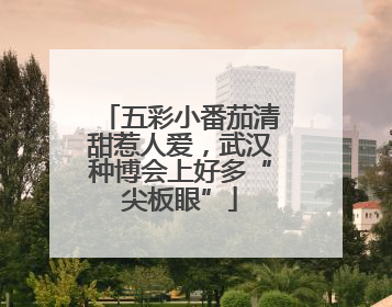 五彩小番茄清甜惹人爱，武汉种博会上好多“尖板眼”