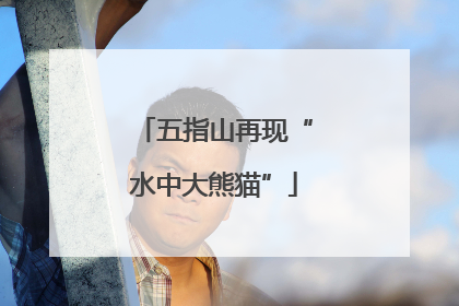 五指山再现“水中大熊猫”