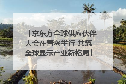 京东方全球供应伙伴大会在青岛举行 共筑全球显示产业新格局