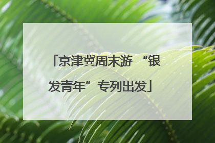 京津冀周末游 “银发青年”专列出发