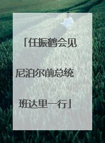 任振鹤会见尼泊尔前总统班达里一行