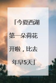 今夏西湖第一朵荷花开啦，比去年早5天