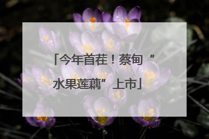 今年首茬！蔡甸“水果莲藕”上市