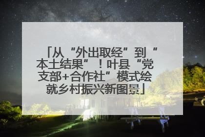 从“外出取经”到“本土结果”！叶县“党支部+合作社”模式绘就乡村振兴新图景