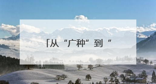 从“广种”到“细管” 关岭枇杷产业的跃升之路