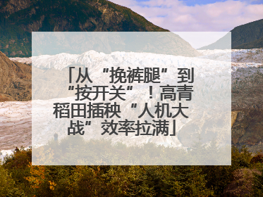 从“挽裤腿”到“按开关”！高青稻田插秧“人机大战”效率拉满