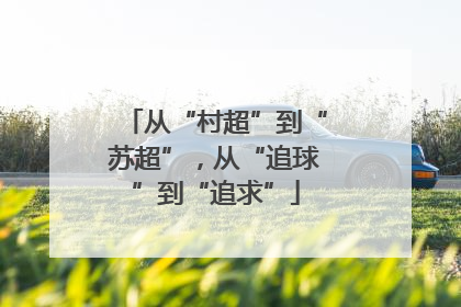 从“村超”到“苏超”，从“追球”到“追求”