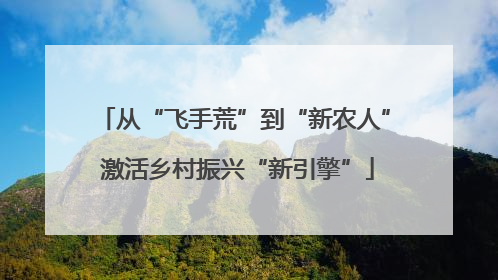 从“飞手荒”到“新农人” 激活乡村振兴“新引擎”
