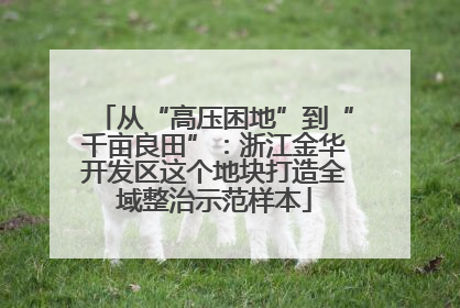 从“高压困地”到“千亩良田”：浙江金华开发区这个地块打造全域整治示范样本