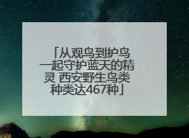 从观鸟到护鸟 一起守护蓝天的精灵 西安野生鸟类种类达467种