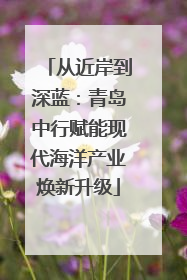 从近岸到深蓝：青岛中行赋能现代海洋产业焕新升级