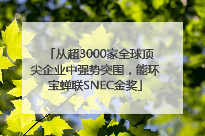 从超3000家全球顶尖企业中强势突围，能环宝蝉联SNEC金奖