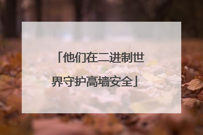 他们在二进制世界守护高墙安全
