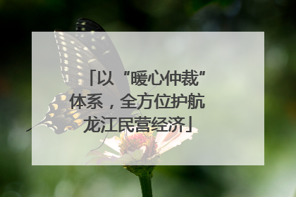 以“暖心仲裁”体系，全方位护航龙江民营经济