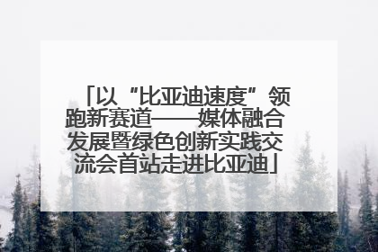 以“比亚迪速度”领跑新赛道——媒体融合发展暨绿色创新实践交流会首站走进比亚迪