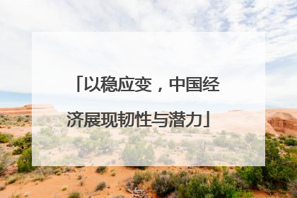 以稳应变，中国经济展现韧性与潜力