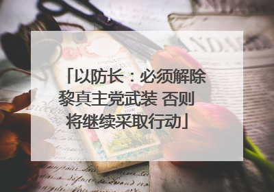 以防长：必须解除黎真主党武装 否则将继续采取行动