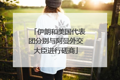 伊朗和美国代表团分别与阿曼外交大臣进行磋商