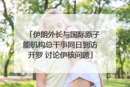 伊朗外长与国际原子能机构总干事同日到访开罗 讨论伊核问题