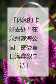 休闲打卡好去处！在泉州滨海公园，感受夏日海岸叙事诗