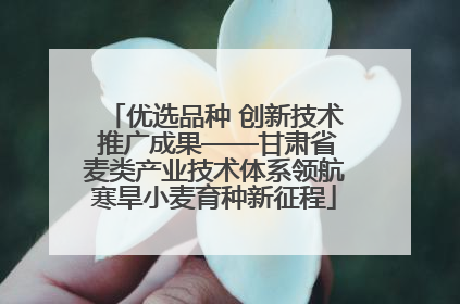 优选品种 创新技术 推广成果——甘肃省麦类产业技术体系领航寒旱小麦育种新征程