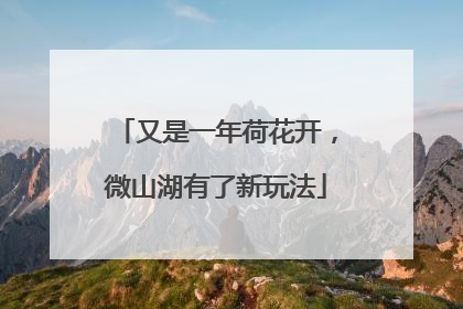 又是一年荷花开，微山湖有了新玩法