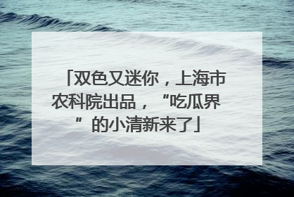 双色又迷你，上海市农科院出品，“吃瓜界”的小清新来了