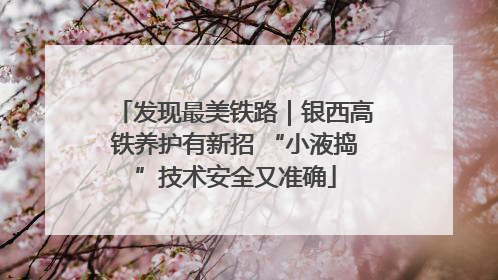 发现最美铁路｜银西高铁养护有新招 “小液捣”技术安全又准确