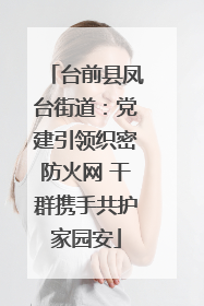 台前县凤台街道：党建引领织密防火网 干群携手共护家园安