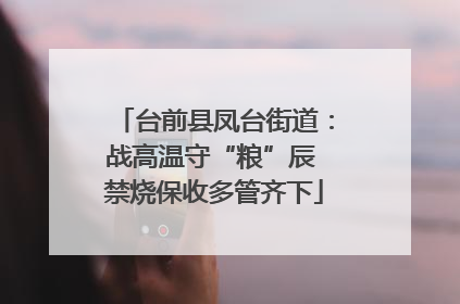台前县凤台街道：战高温守“粮”辰 禁烧保收多管齐下