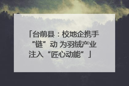 台前县：校地企携手“链”动 为羽绒产业注入“匠心动能”