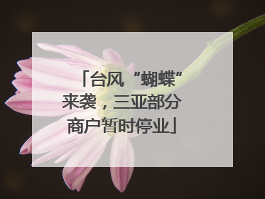 台风“蝴蝶”来袭，三亚部分商户暂时停业