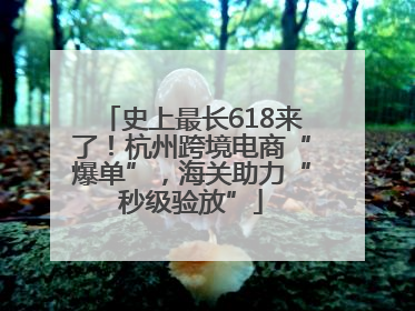 史上最长618来了！杭州跨境电商“爆单”，海关助力“秒级验放”