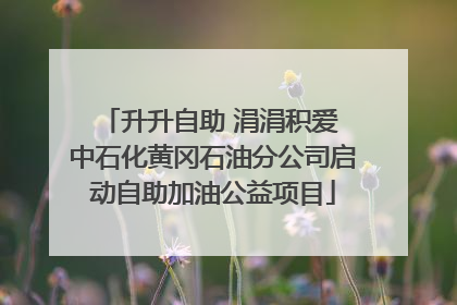 升升自助 涓涓积爱 中石化黄冈石油分公司启动自助加油公益项目
