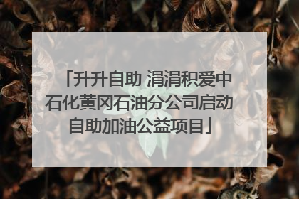 升升自助 涓涓积爱中石化黄冈石油分公司启动自助加油公益项目
