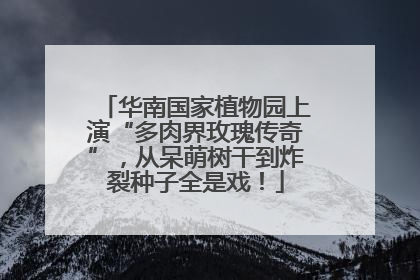 华南国家植物园上演“多肉界玫瑰传奇”，从呆萌树干到炸裂种子全是戏！