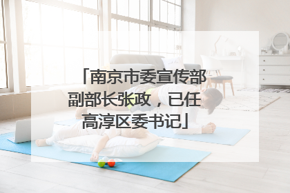 南京市委宣传部副部长张政，已任高淳区委书记