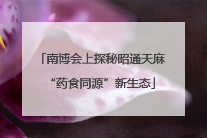 南博会上探秘昭通天麻“药食同源”新生态