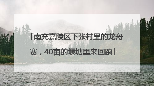 南充嘉陵区下张村里的龙舟赛，40亩的堰塘里来回跑