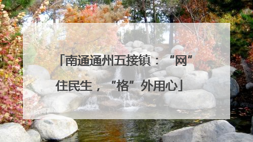 南通通州五接镇：“网”住民生，“格”外用心