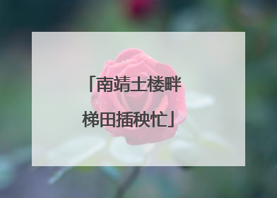 南靖土楼畔 梯田插秧忙