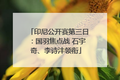 印尼公开赛第三日：国羽焦点战 石宇奇、李诗沣领衔