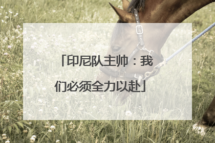 印尼队主帅：我们必须全力以赴