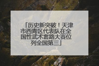 历史新突破！天津市西青区代表队在全国性武术套路大赛位列全国第三