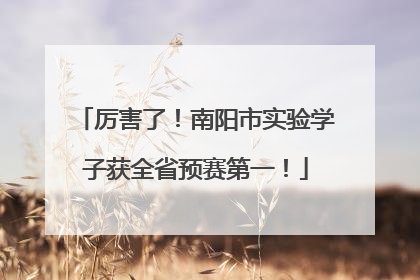 厉害了！南阳市实验学子获全省预赛第一！