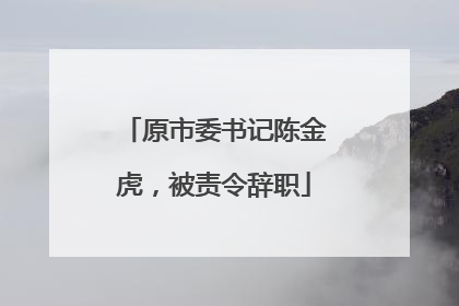 原市委书记陈金虎，被责令辞职