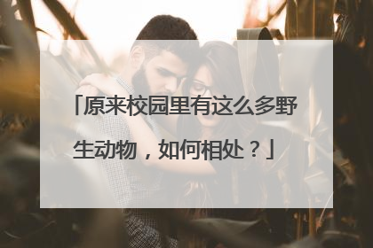 原来校园里有这么多野生动物，如何相处？