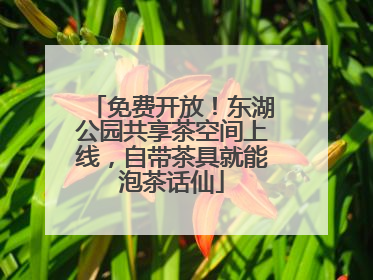 免费开放！东湖公园共享茶空间上线，自带茶具就能泡茶话仙