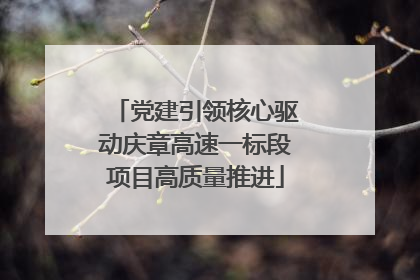 党建引领核心驱动庆章高速一标段项目高质量推进