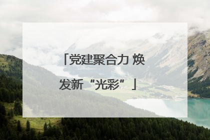 党建聚合力 焕发新“光彩”